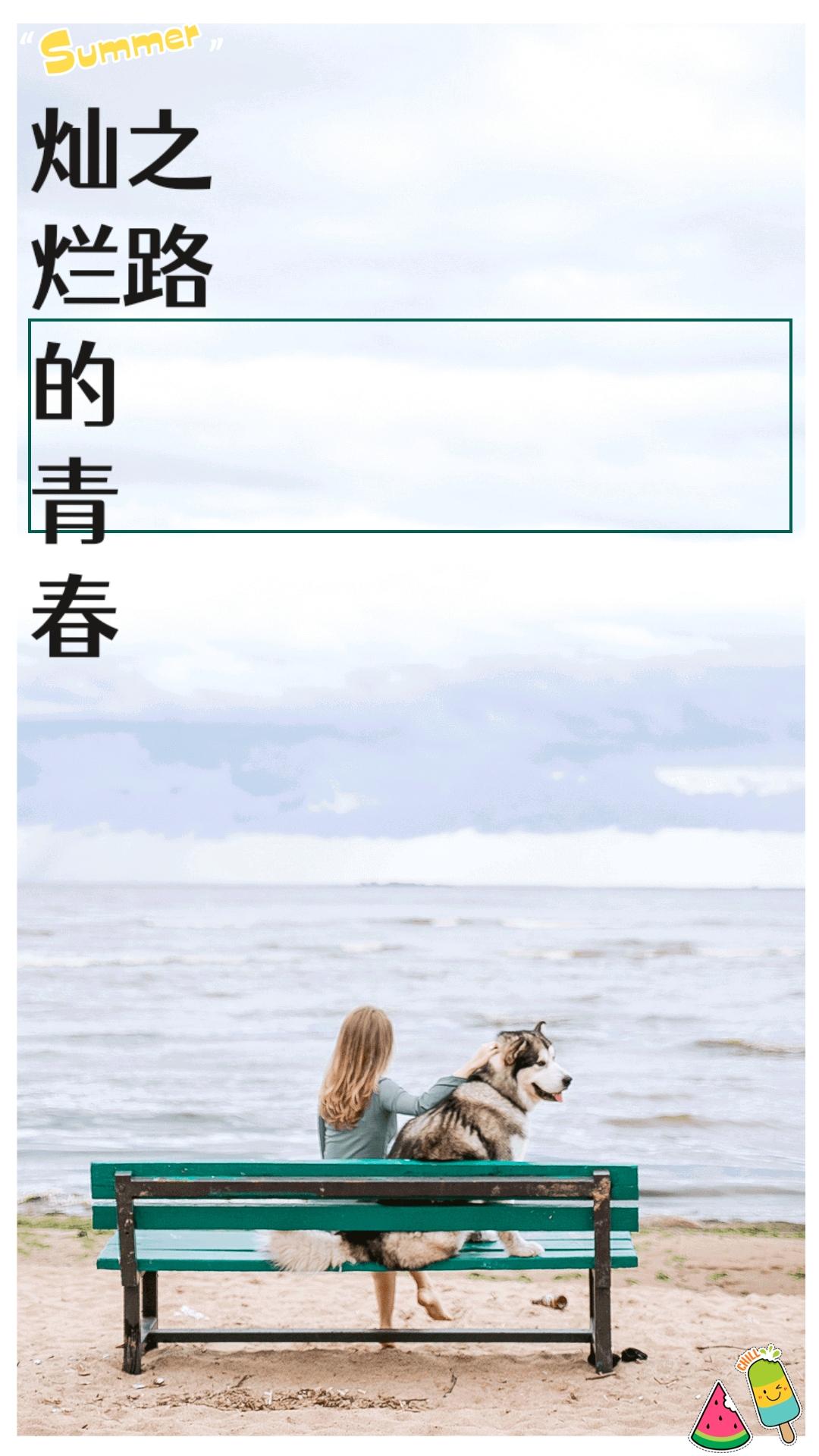 灿烂的青春之路百度网盘